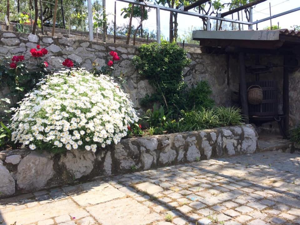 La Torretta Bianca Bed & Breakfast Cava deʼ Tirreni Eksteriør bilde